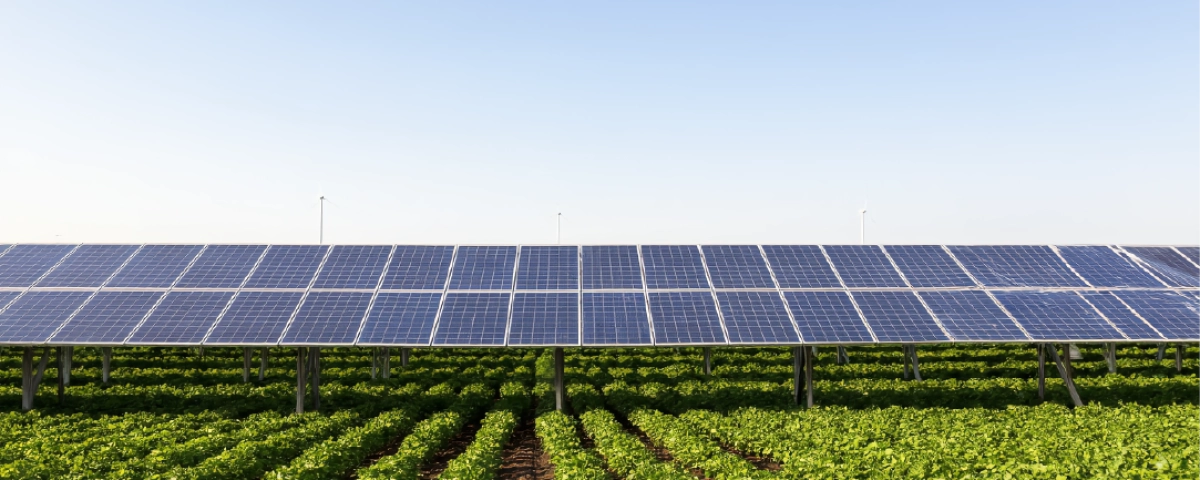 Развитие агровольтаики в Украине Развитие агровольтаики в Украине