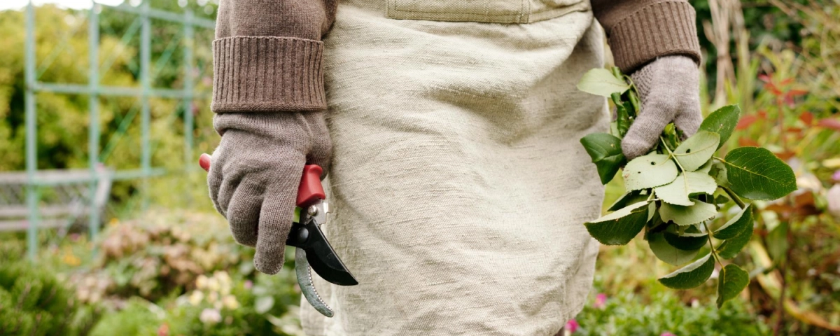 Какие режимы стирки удобны для одежды после работы с землей, рассадой и удобрениями Какие режимы стирки удобны для одежды после работы с землей, рассадой и удобрениями