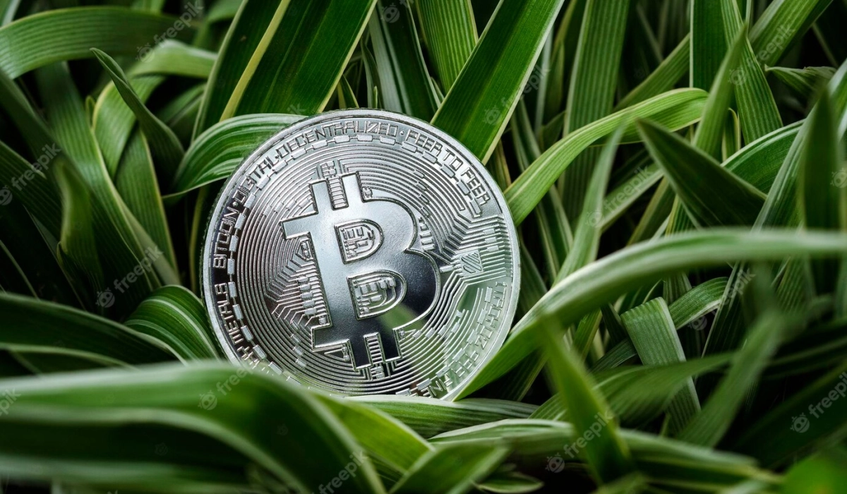 Самые надежные криптовалютные кошельки: примеры лучших площадок