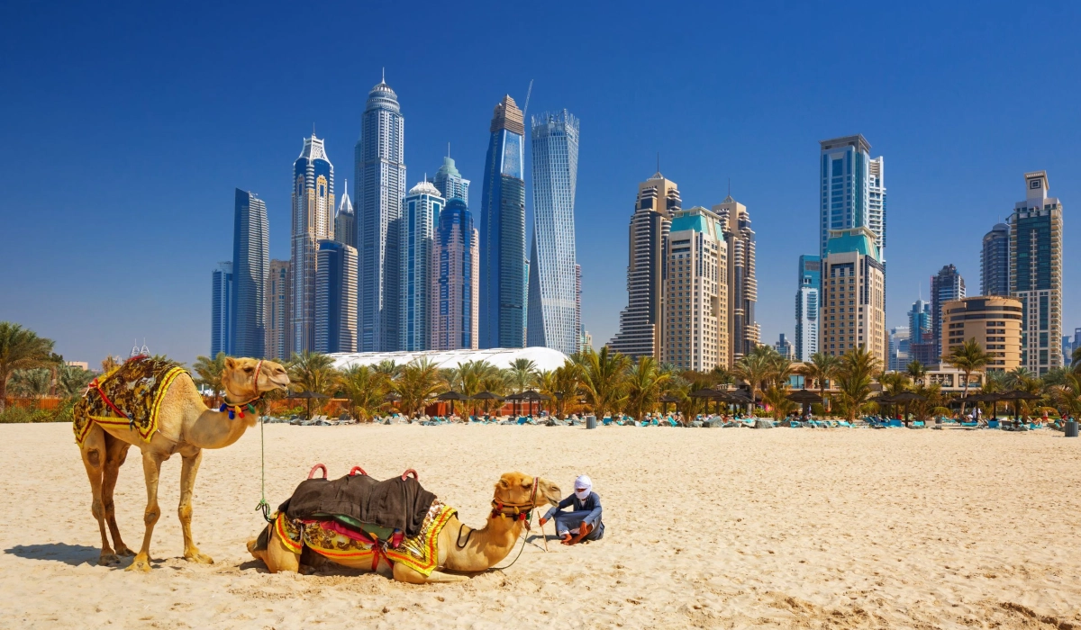 Что нужно знать об ОАЭ при переезде на ПМЖ