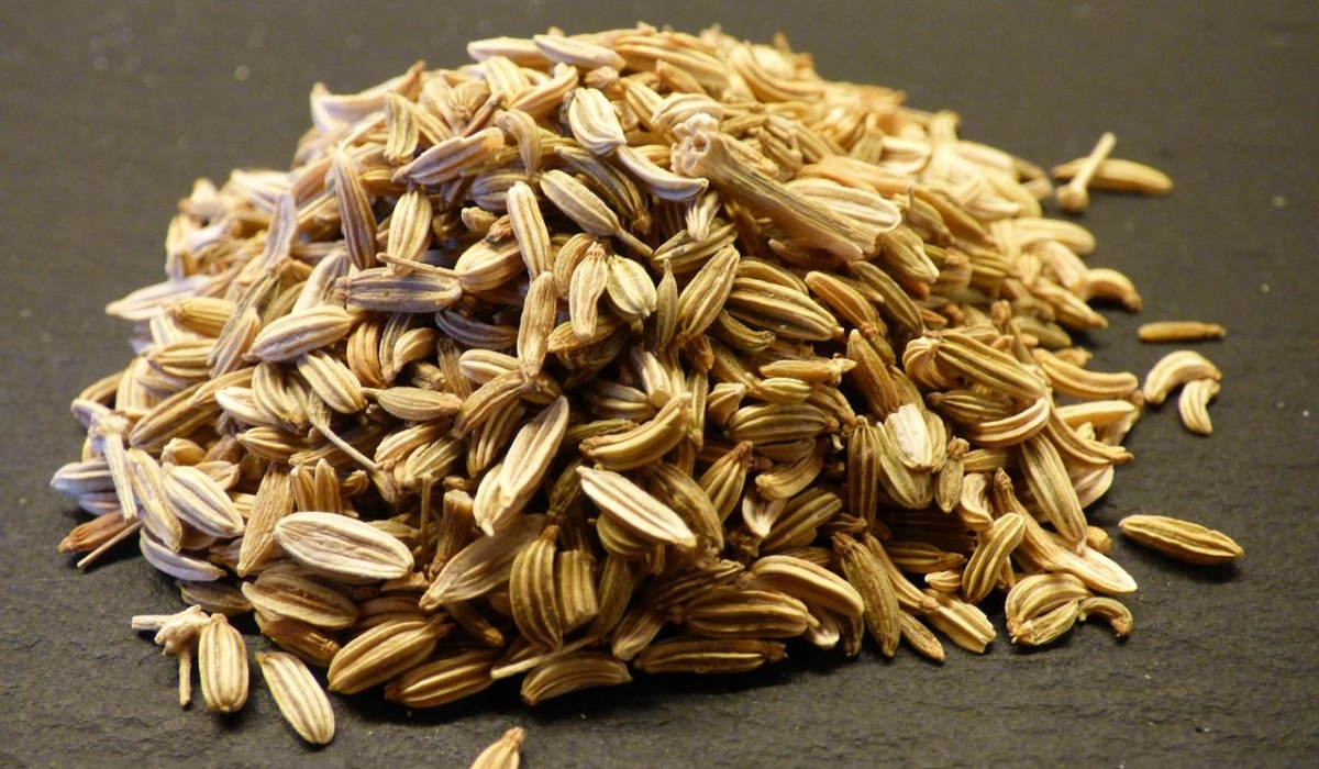 Использование протравителей семян: защита урожая без риска