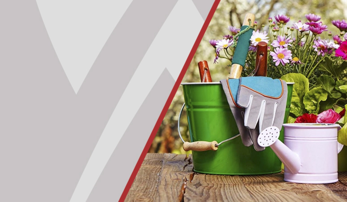 Полезные советы по выбору оборудования для благоустройства территорий