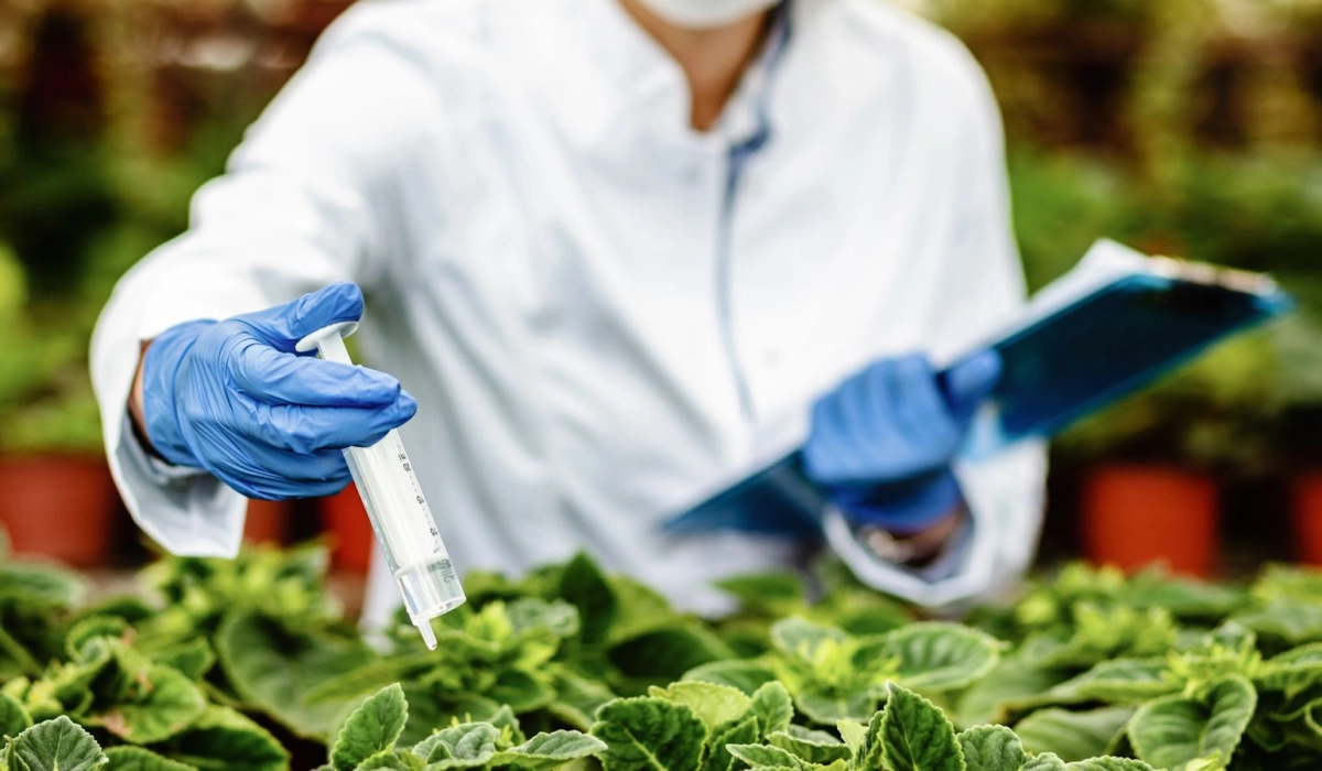 Что такое десикация и для чего она нужна?