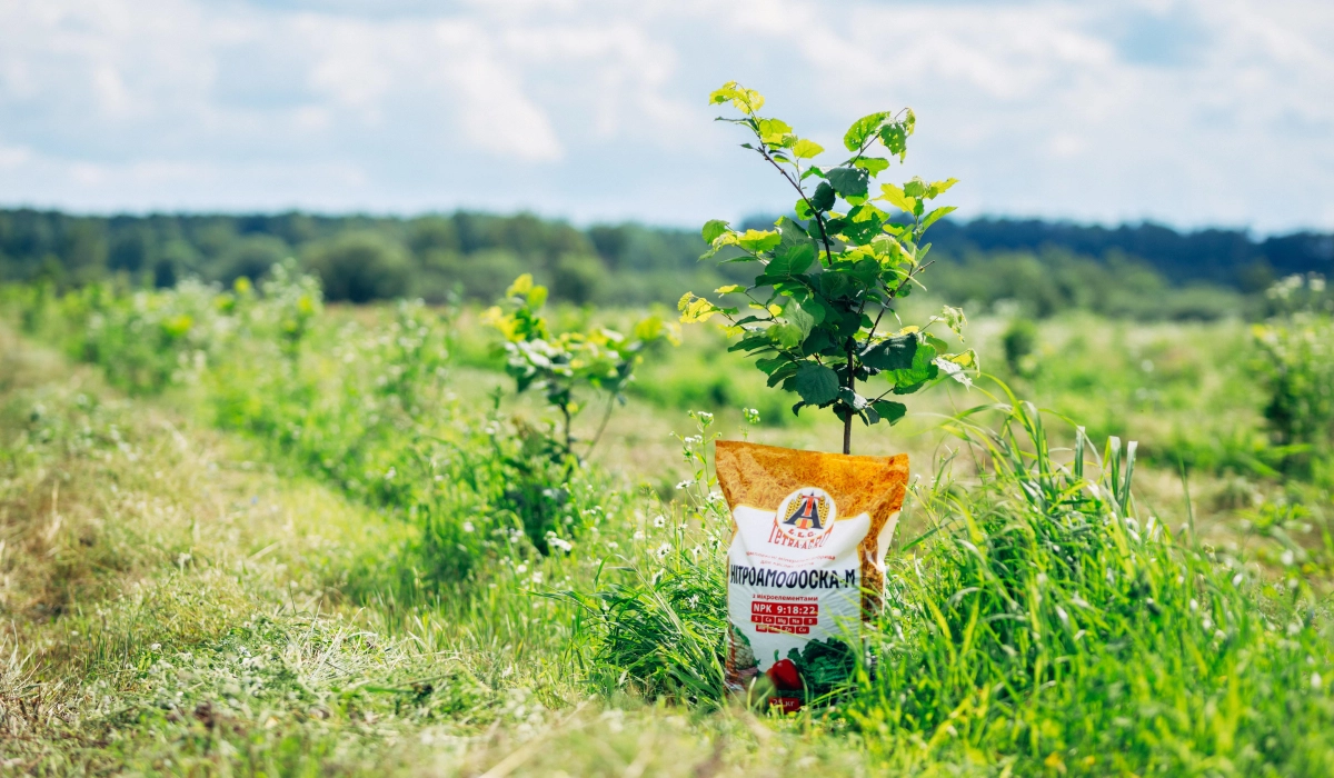 Чому варто купити мінеральні добрива від Тетра-Агро: найкращий вибір для аграріїв