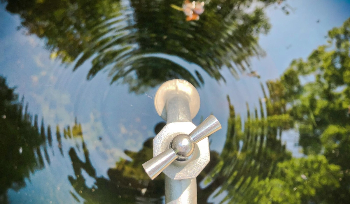 Водограй бактерии — натуральная формула для эффективной очистки