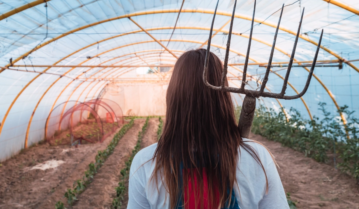 Отопление теплиц твердотопливными котлами: экономия для аграриев