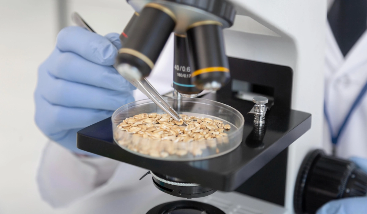 Определение качества зерна в лабораторных условиях и особенности оборудования