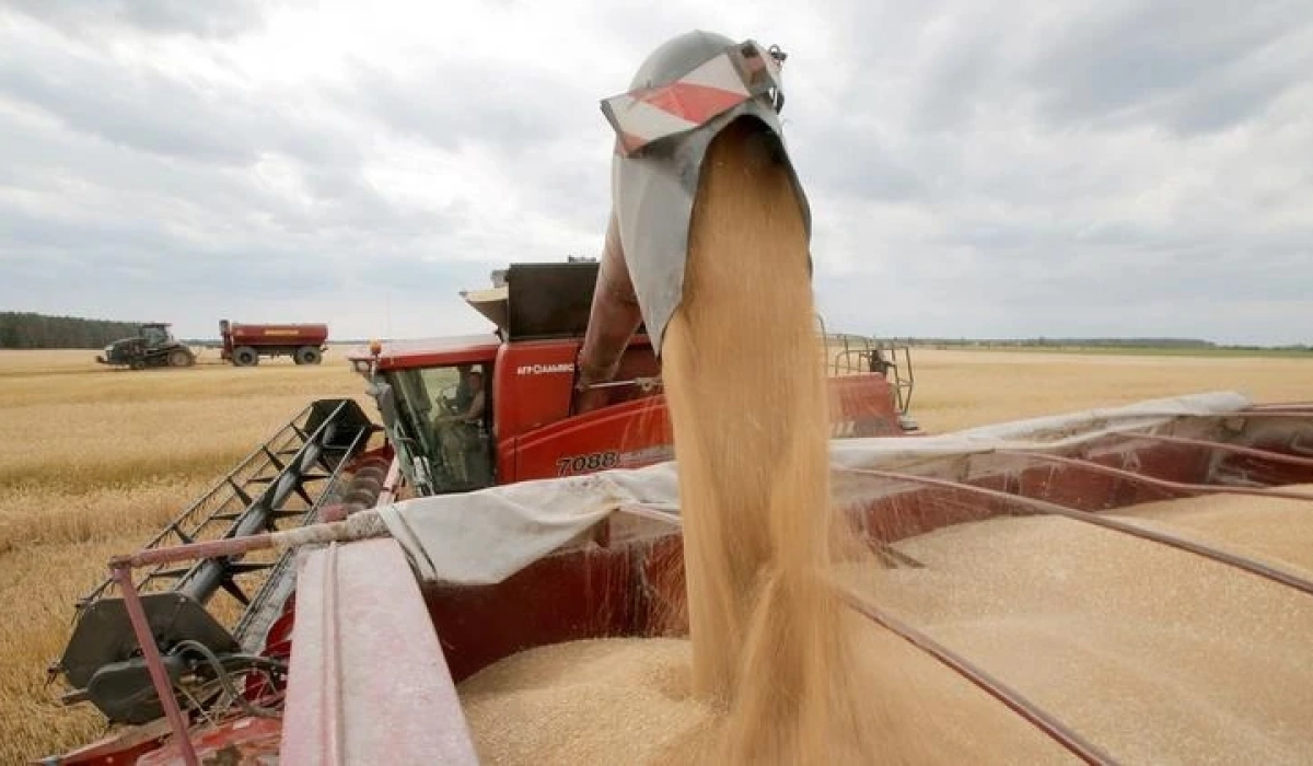 Зерно чи соя — на чому заробляють аграрії зараз