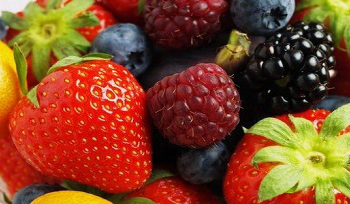 Как вырастить ягодные кустарники в саду. Советы от Greensad.ua