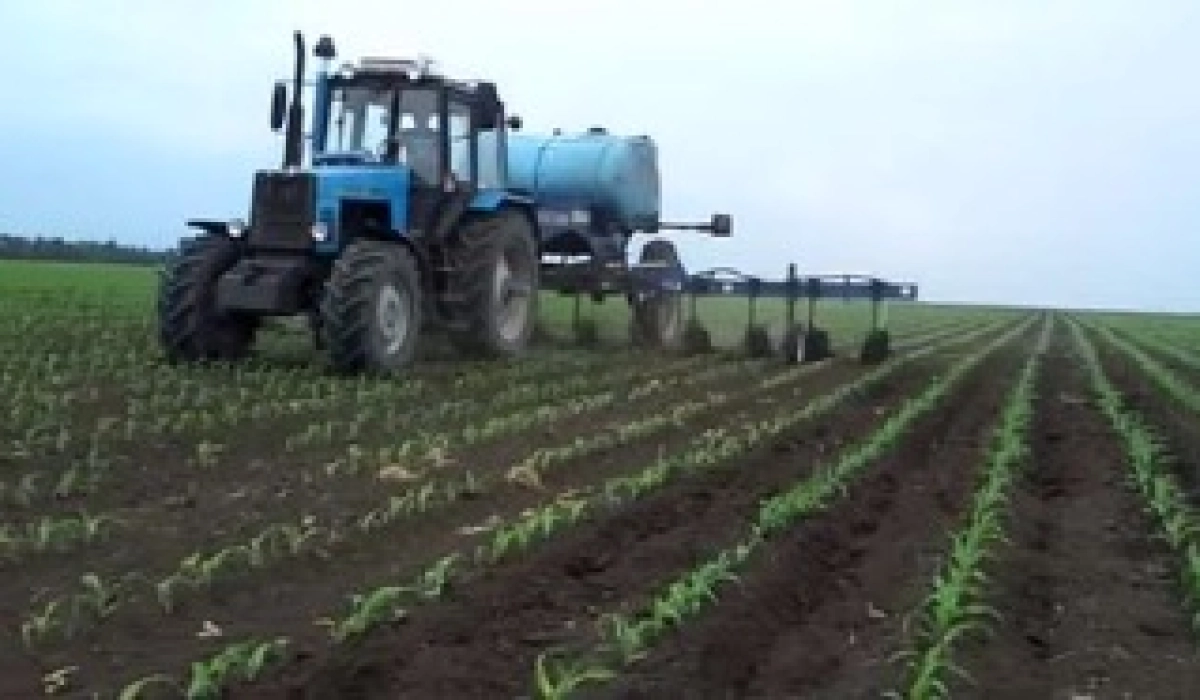 Биологические удобрения: новая эпоха здорового питания