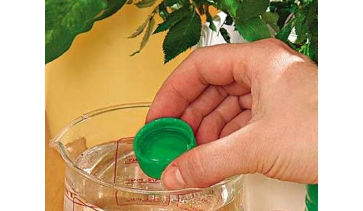 Жидкие удобрения – идеальная форма подкормки растений