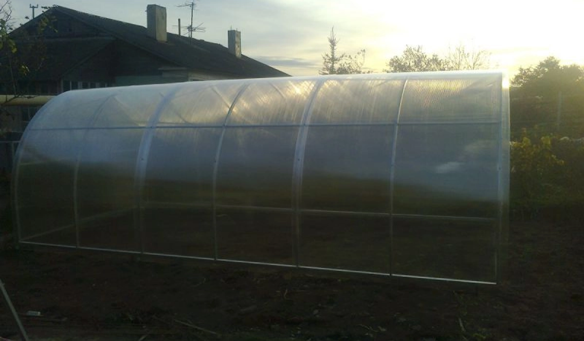 Как обустроить теплицу внутри?