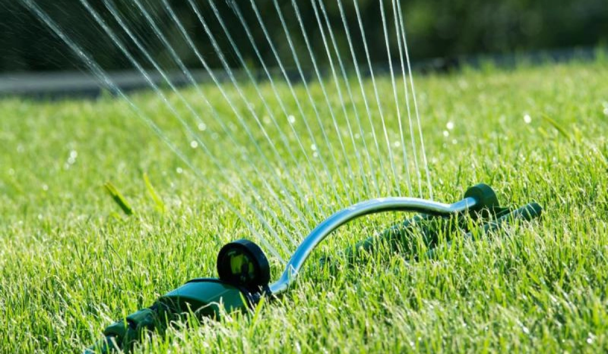 Капельное орошение как эффективный способ полива растений