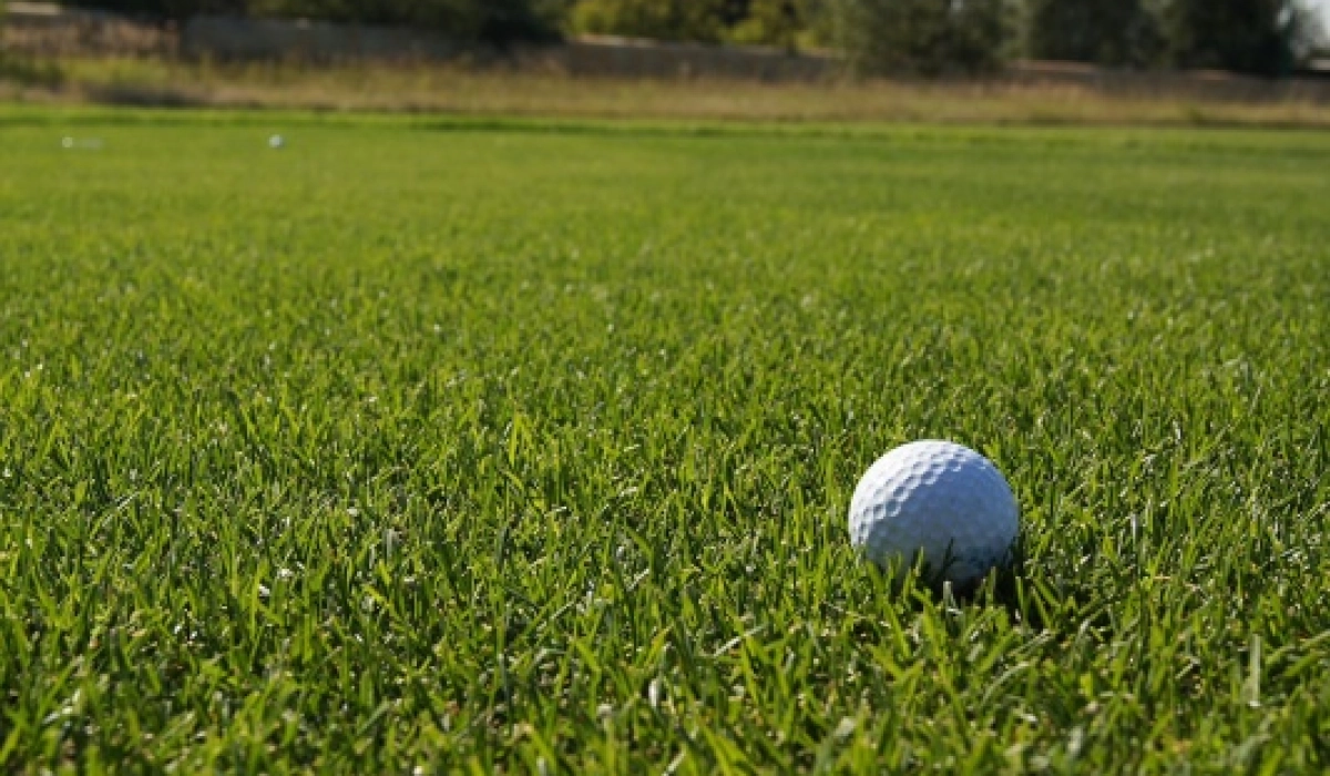 Рулонные газоны для обустройства спортивных площадок