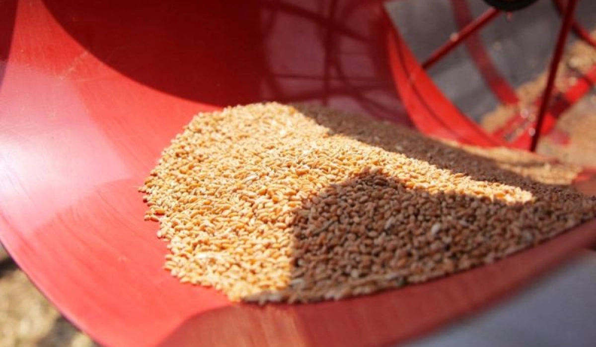 Бережная очистка зерна в обоечной машине