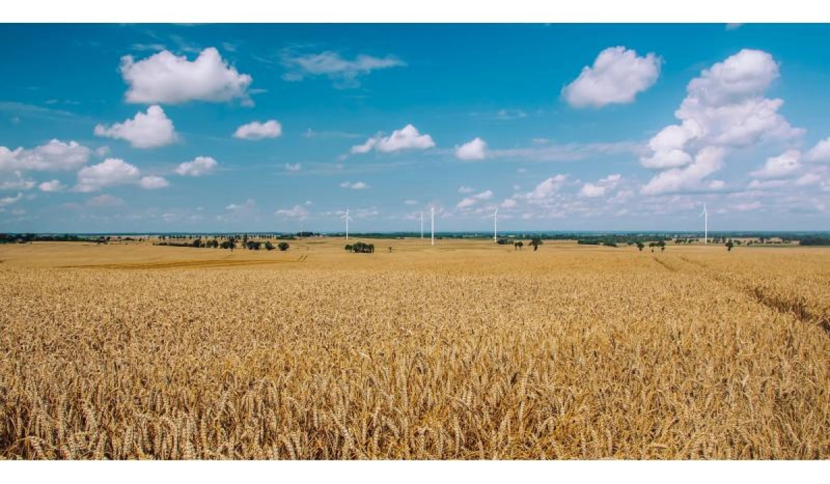 Неделя праздника работников сельского хозяйства ознаменовалась высоким Урожаем