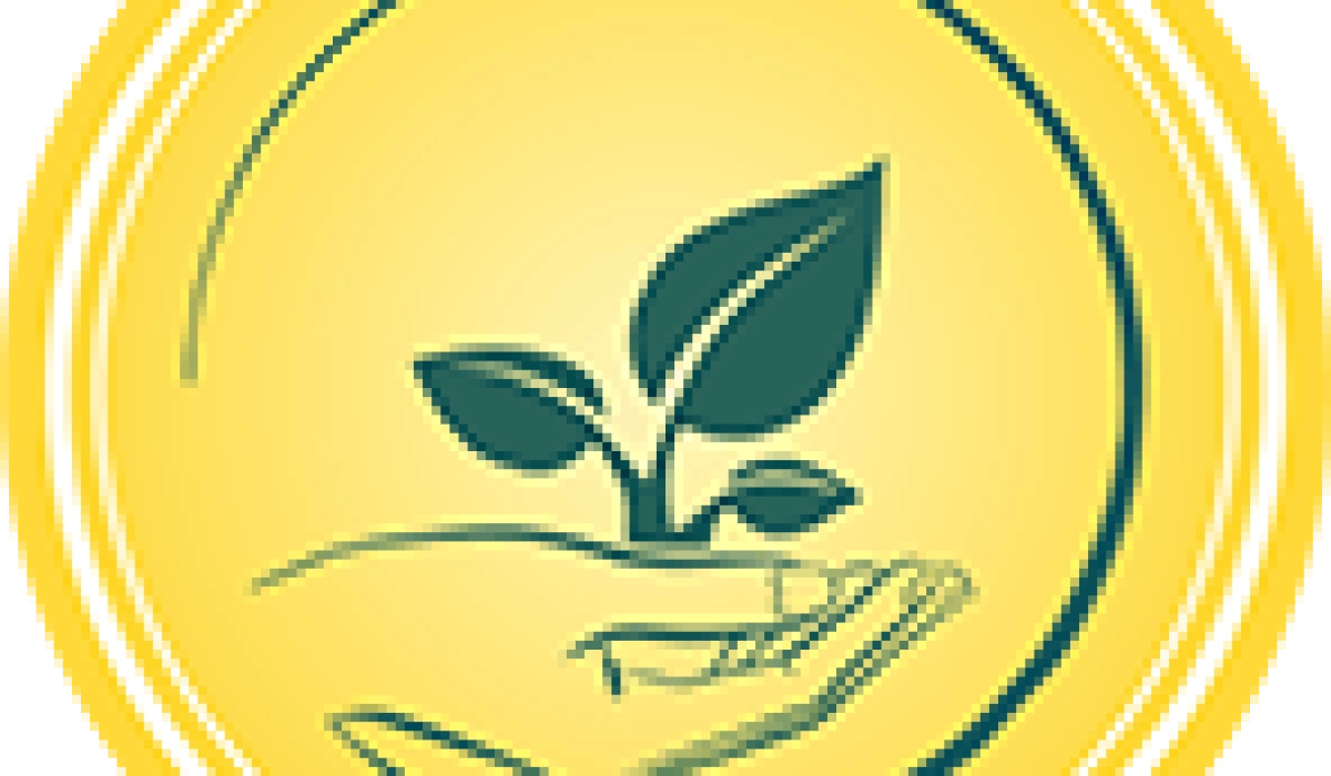 Рассадные кассеты и горшки из полистирола: преимущества эксплуатации