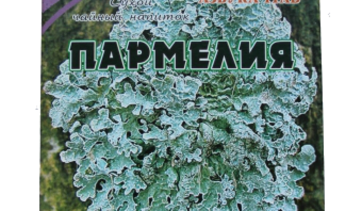 Пармелия: состав, свойства, применение, заготовка, хранение