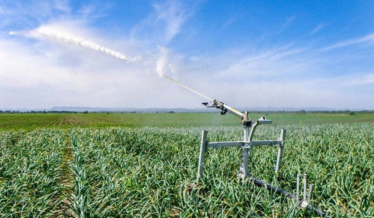 Сельскохозяйственная техника для орошения и почвенной обработки: преимущества, особенности