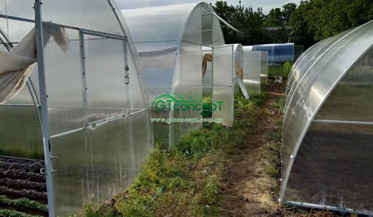 Органическое земледелие в теплице