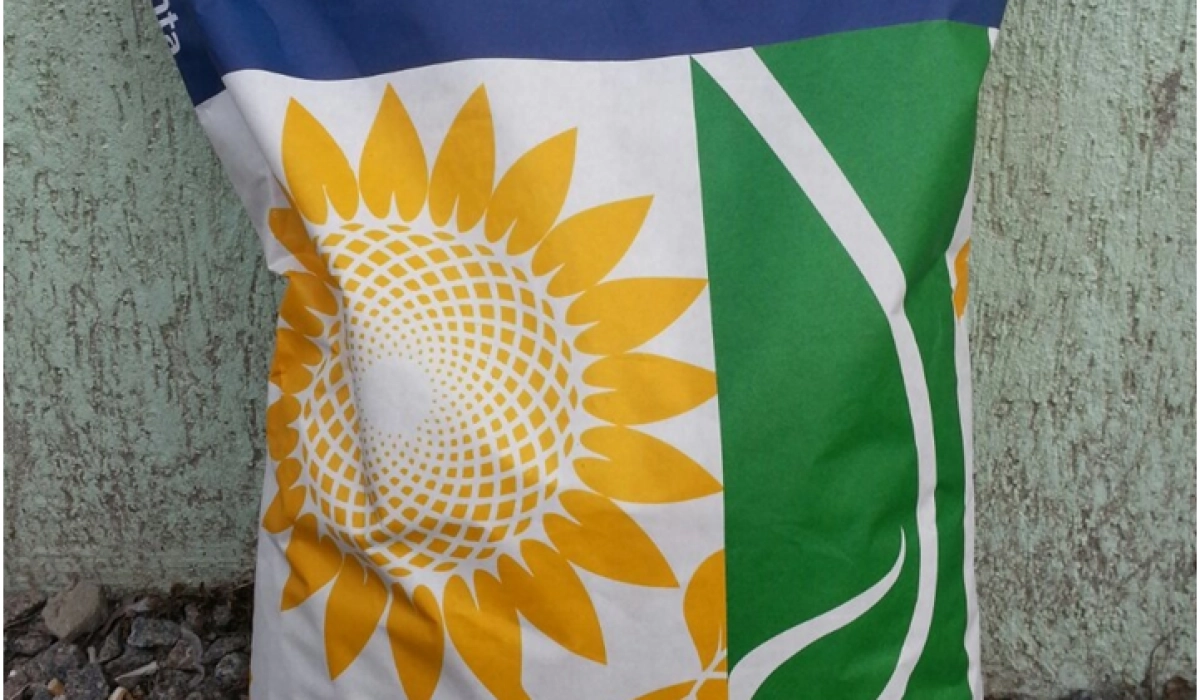 Гибриды семян кукурузы от Сингенты