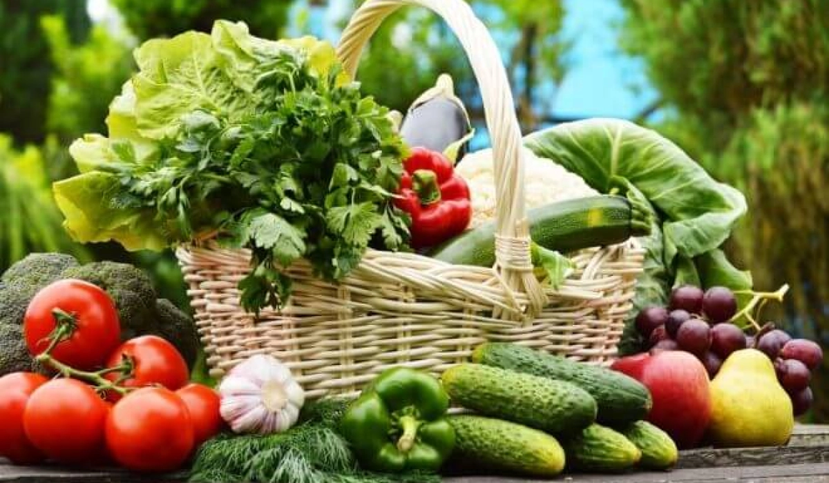 Виды эффективных удобрений и их преимущества