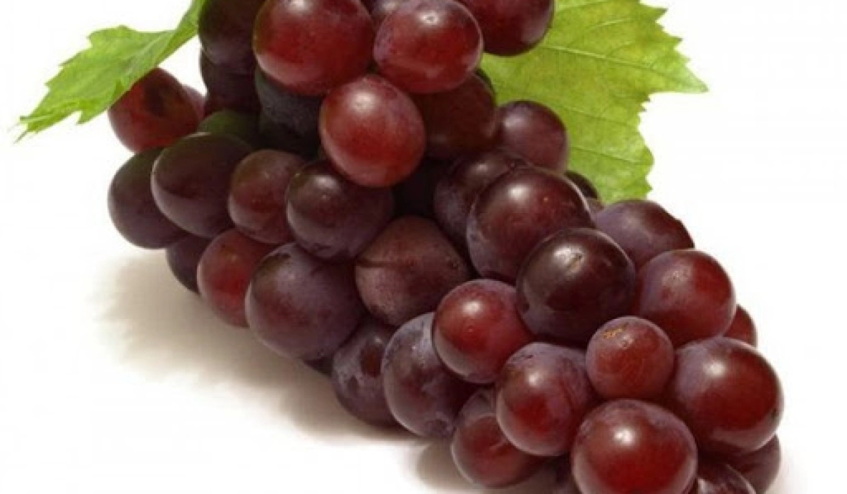 Виноград Низина – морозостойкий столовый сорт с «вишневым» привкусом