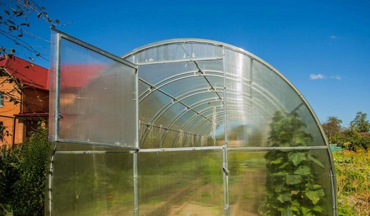 Теплицы из поликарбоната: разновидности и преимущества