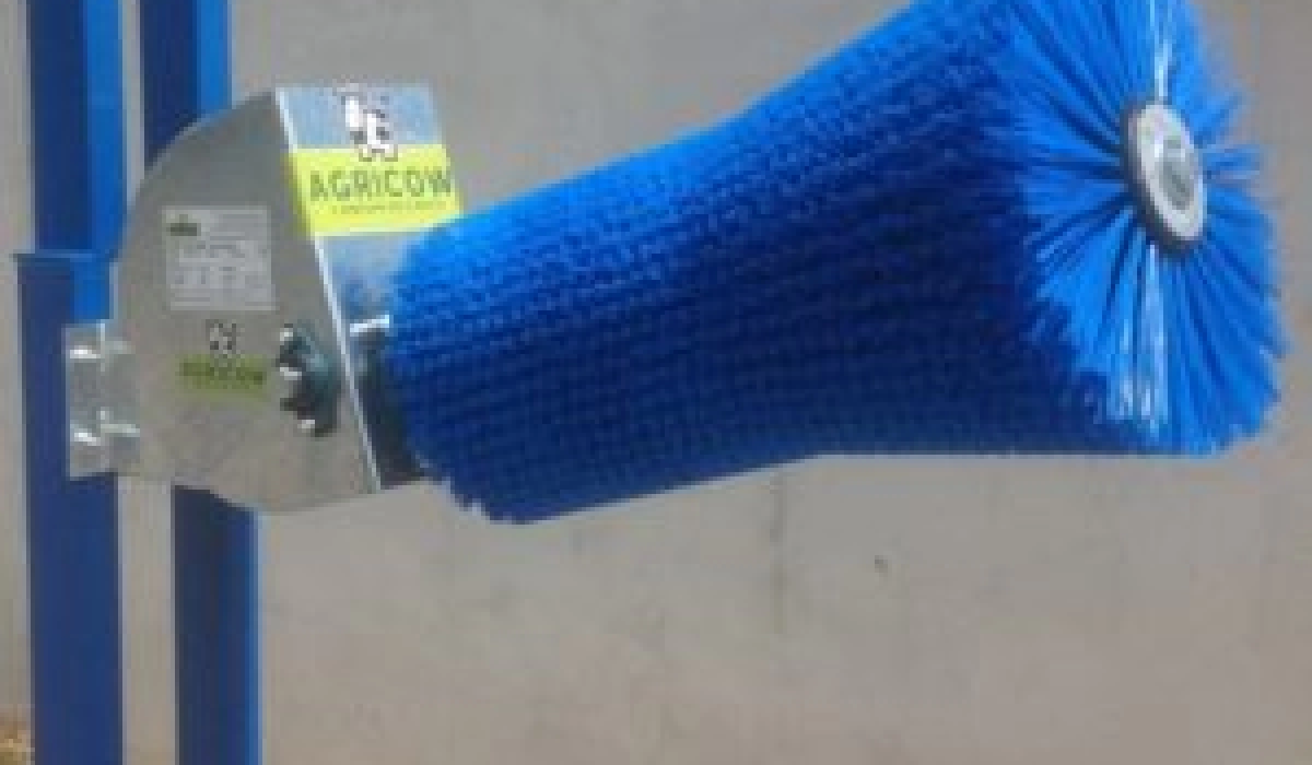 Выбор чесалки для коров