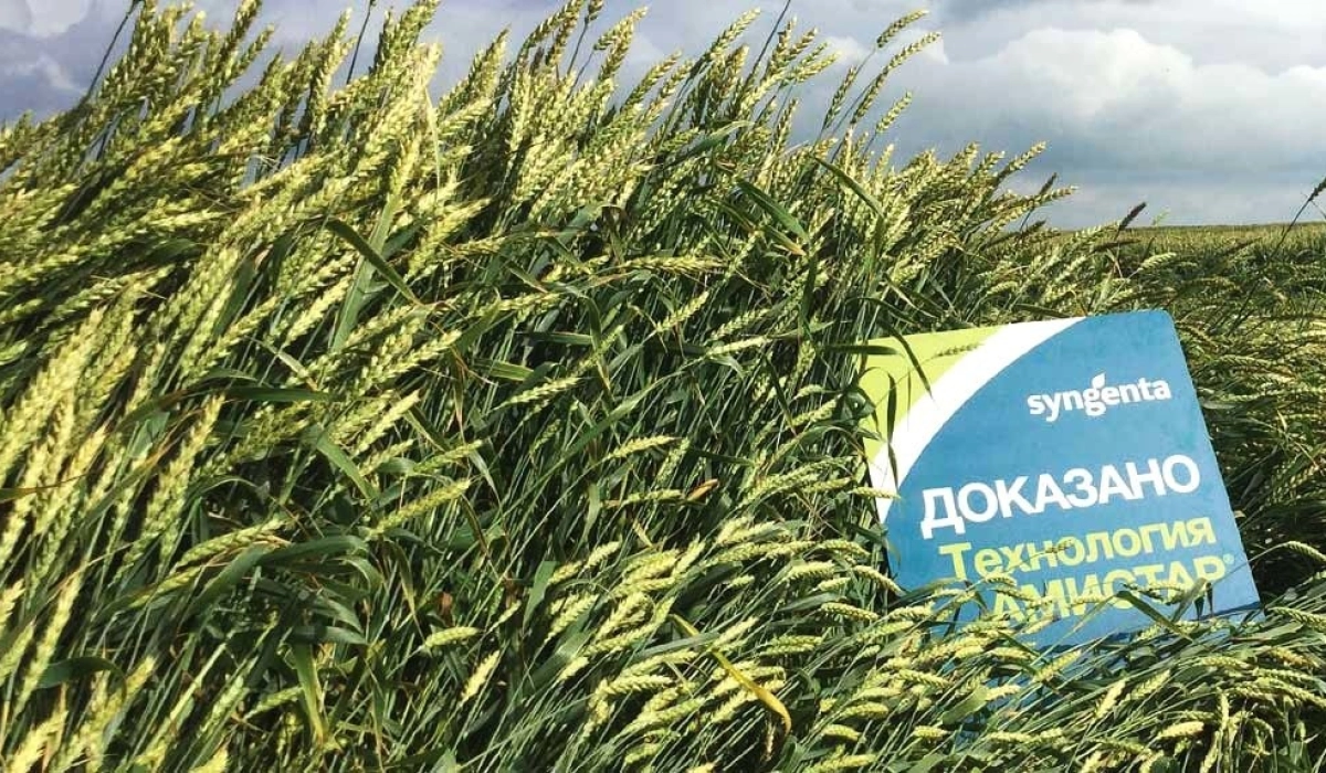 Фунгициды для картофеля