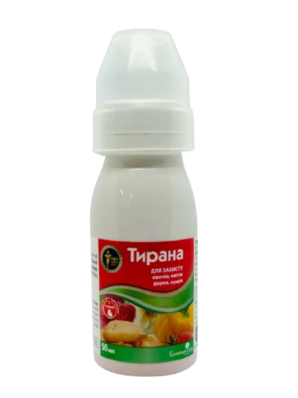Тирана