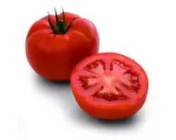 Минарет F1 / Minaret F1