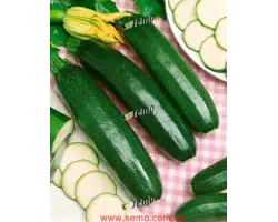 СТАРТГРИН F1 / STARTGREEN F1