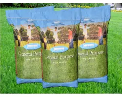 Jonsons General Purpose (Лилипут, Орнамент)