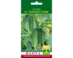 Буревестник F1 