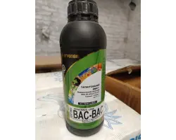 АРВЕНСІС ЛАЙН