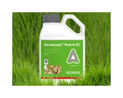 БЕЛЬВЕДЕР ФОРТЕ КС