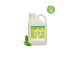 КЕМАСТРАЮРІ 100 EW