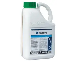 Каратель ЕС