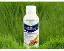 Каліпсо 480 SC