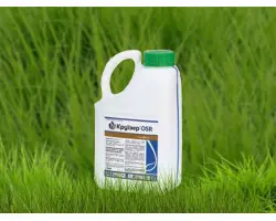 Круїзер OSR 322 FS