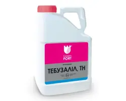 Грінфорт Тебузаліл