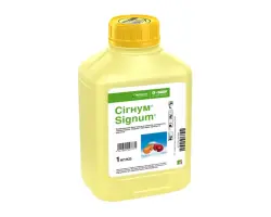 СІГНУМ