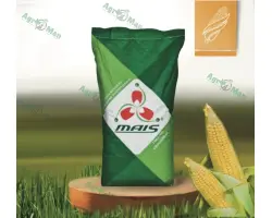 DMS3477 / ДМС3477