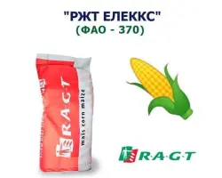 RGT ALEХХ / РЖТ ЕЛЕККС