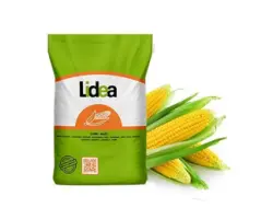 Chamberi CS / Шамбері КС