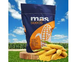 MAS 13V / МАС 13В