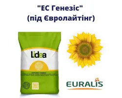 ES Venicia / ЕС Веніція