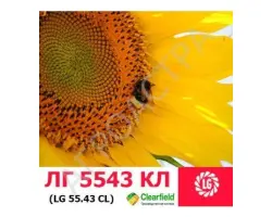 LG 5434М / ЛГ 5434М