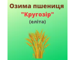 Кругозір
